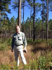 Man in light green shirt and tan pants standing in a well-thinned tree stand.